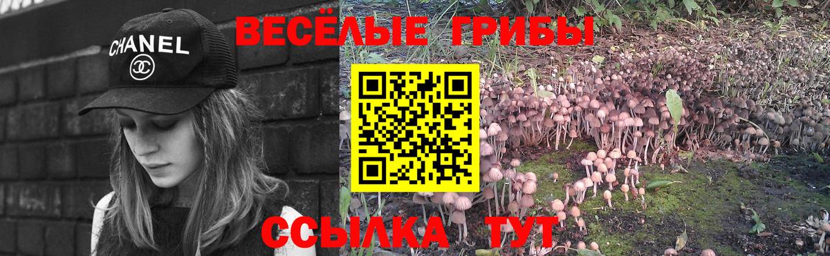 Нововоронеж  Галлюциногенные грибы Magic Shrooms  Вход с VPN 